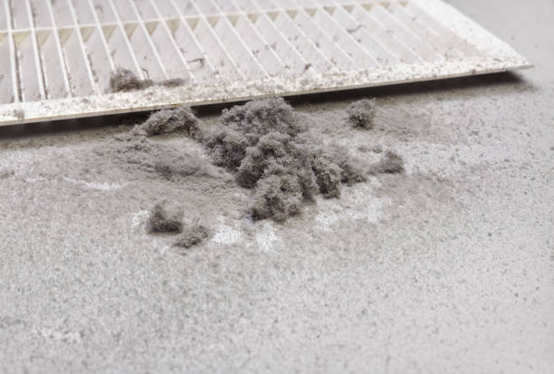 Best Air Duct Cleaning Near Me  in Dike, IA