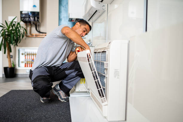 Best Affordable Duct Cleaning Services  in Dike, IA